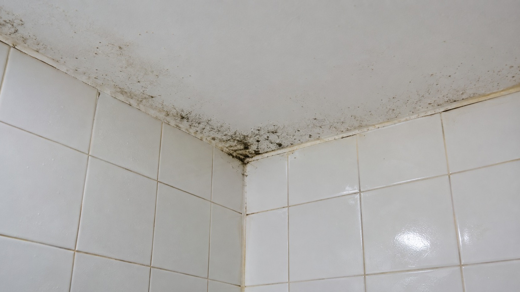 Esquina del baño con manchas de humedad observadas desde una distancia prudente y sin tocar ni cepillar el moho